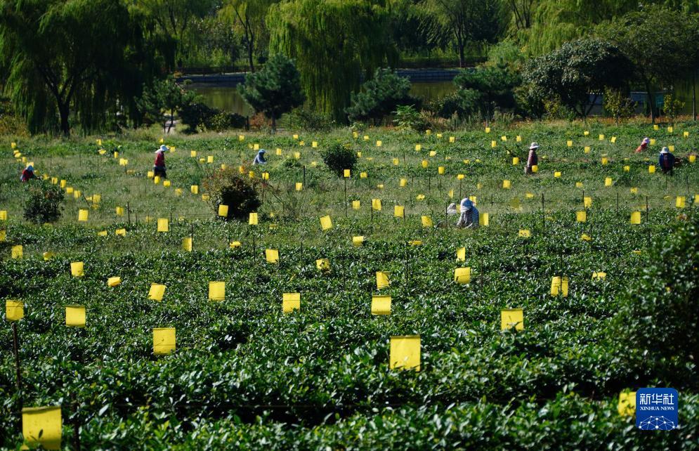 澳门官方娱乐游戏平台